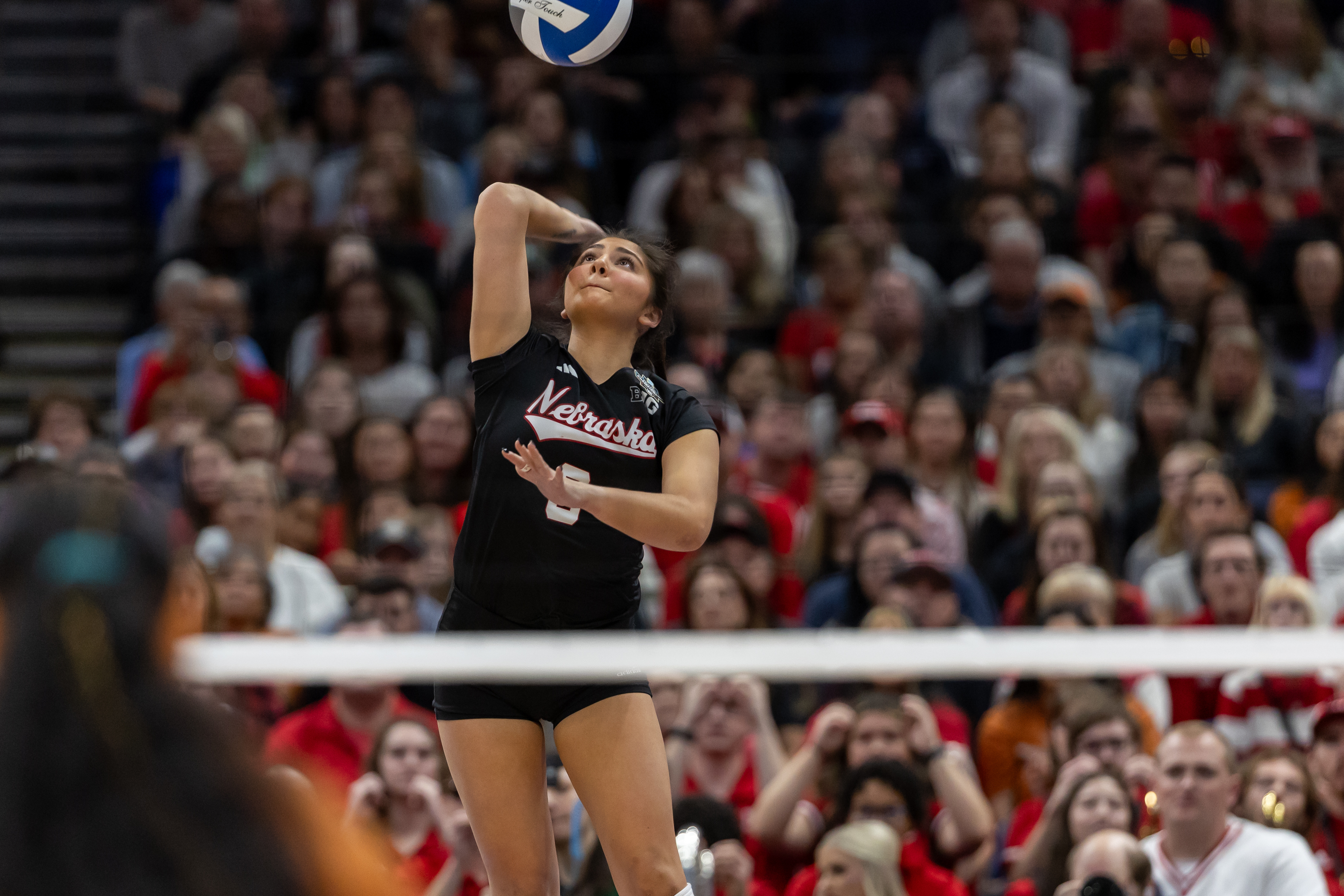 NCAA VOLLEYBALL: DEC 17 Division I Women’s Championship - Teams vs Team